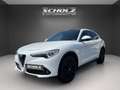 Alfa Romeo Stelvio 2.2 Diesel 16V AT8-Q4 Super Weiß - thumbnail 1