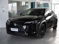 Lexus UX 250h UX E-Four Hybrid 4 WD Midnight edition 36 mesi garanzia Nero - thumbnail 1