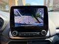 Ford EcoSport ECOSPORT 1.0 EcoBoost TITANIUM Grijs - thumbnail 20