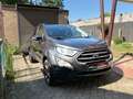 Ford EcoSport ECOSPORT 1.0 EcoBoost TITANIUM Grijs - thumbnail 2