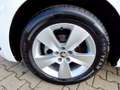Skoda Scala 1.0 TSI Essence Klima Sitzheizung DAB PDC Weiß - thumbnail 14