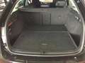 Skoda Octavia Combi 2.0 TDI DSG *AHK *LED *RKAM *GRA *LM *SHZ * Schwarz - thumbnail 15