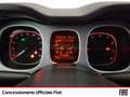 Fiat Panda 1.2 city cross s&s 69cv my19 Vert - thumbnail 11