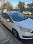Ford C-Max C-Max 1.5TDCi Trend  95 Trend Blanco - thumbnail 1