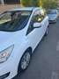 Ford C-Max C-Max 1.5TDCi Trend  95 Trend Blanco - thumbnail 3