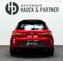SEAT Leon Cupra 290 DSG*Pano*Schale*Virtual*Beats*DCC Rood - thumbnail 11
