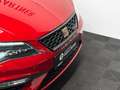 SEAT Leon Cupra 290 DSG*Pano*Schale*Virtual*Beats*DCC Rood - thumbnail 10