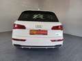 Audi Q5 2.0 40 TDI quattro sport DSG S-Line+AHK Weiß - thumbnail 4