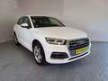 Audi Q5 2.0 40 TDI quattro sport DSG S-Line+AHK Weiß - thumbnail 8