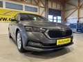 Skoda Octavia DSG LED VIRTUAL COCKPIT HEAD-UP-DISPLAY Grau - thumbnail 6