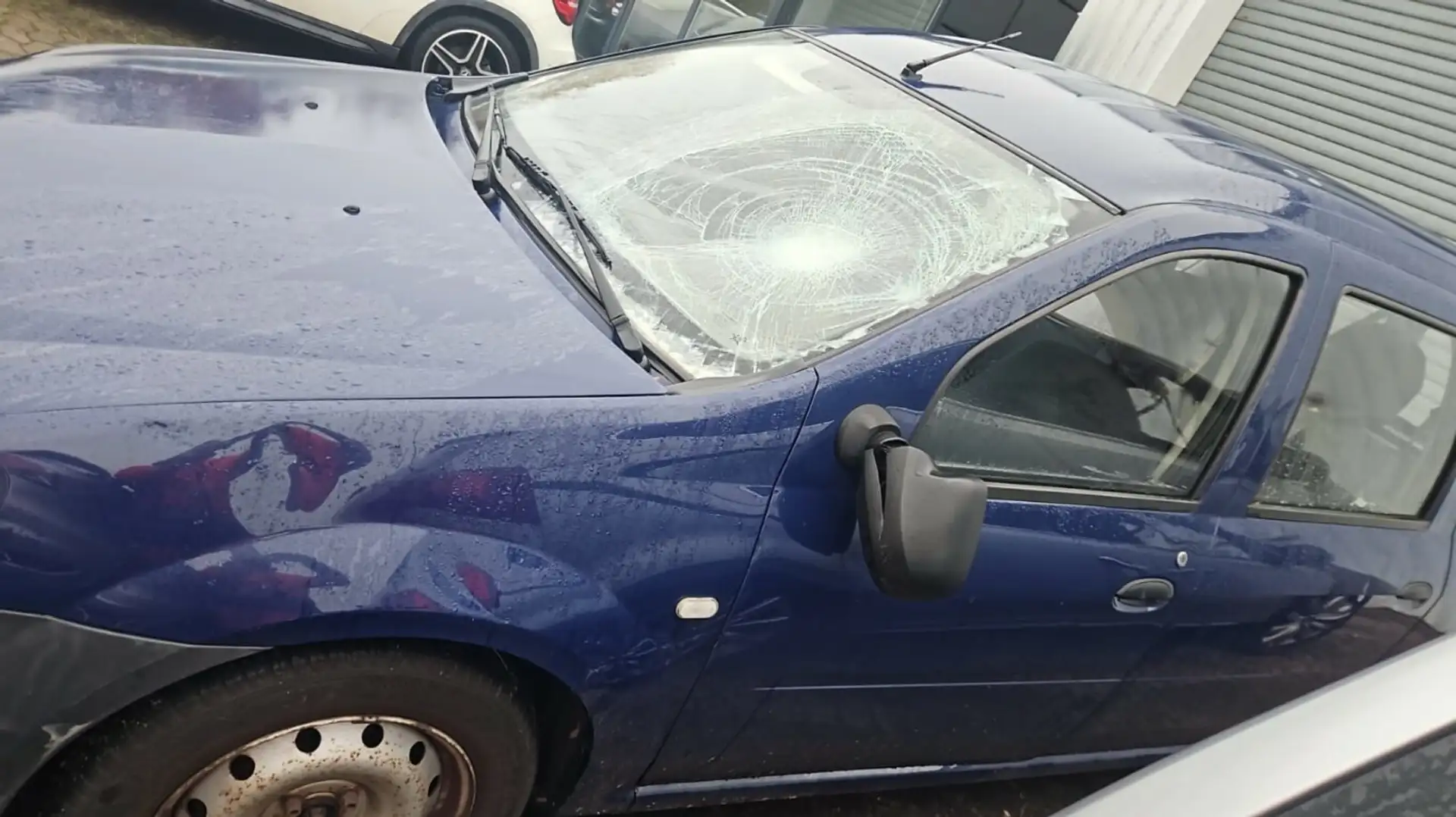 Dacia Logan Basis Bleu - 2