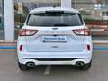 Ford Kuga ST Line Blanco - thumbnail 11