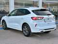 Ford Kuga ST Line Blanco - thumbnail 12
