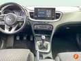 Kia Ceed / cee'd 1.0 T-GDI Drive Rojo - thumbnail 12