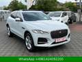 Jaguar F-Pace F-PACE S AWD PANORAMA Weiß - thumbnail 11