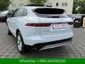 Jaguar F-Pace F-PACE S AWD PANORAMA Weiß - thumbnail 5