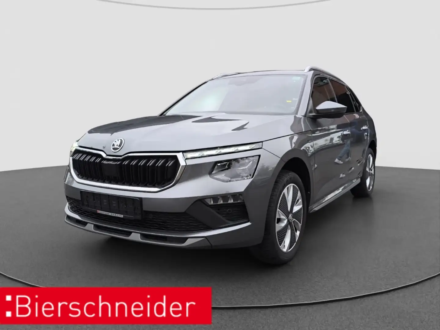 Skoda Kamiq 1.0 TSI DSG Selection NAVI MATRIX RFK PDC KESSY Gris - 1