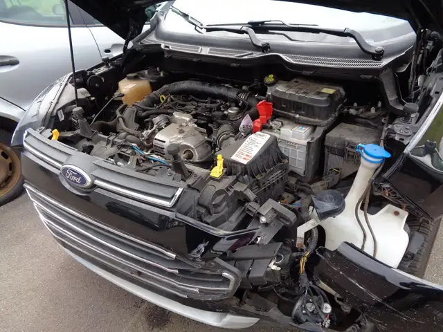 Ford Ecosport view 10
