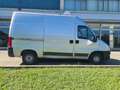 Fiat Ducato cargo 2.3jtd 110CV TA Argento - thumbnail 4