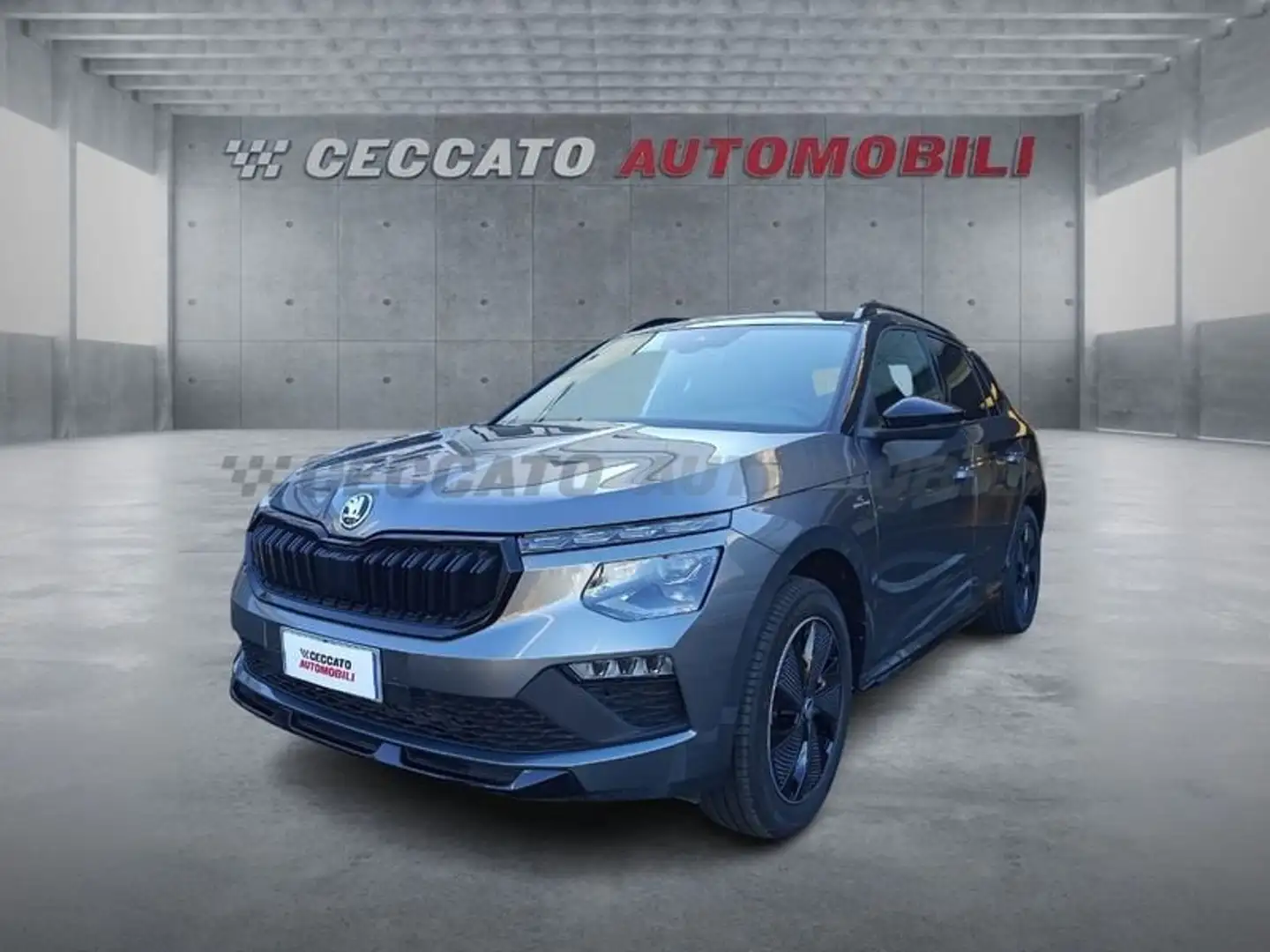 Skoda Kamiq 1.0 TSI MONTE CARLO MY 24 Grigio - 1