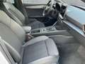 CUPRA Leon ST 1.5 eTSI DSG LED+NAV+APP+ACC+SHZ+RFK+NSW Weiß - thumbnail 13