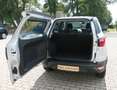 Ford EcoSport Trend, Klima,2.Hand, Automatik Plateado - thumbnail 9