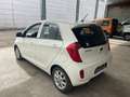 Kia Picanto New Picanto 1.0i Benzine * 36.000 KM * Blanc - thumbnail 5