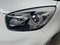 Kia Picanto New Picanto 1.0i Benzine * 36.000 KM * Blanc - thumbnail 16