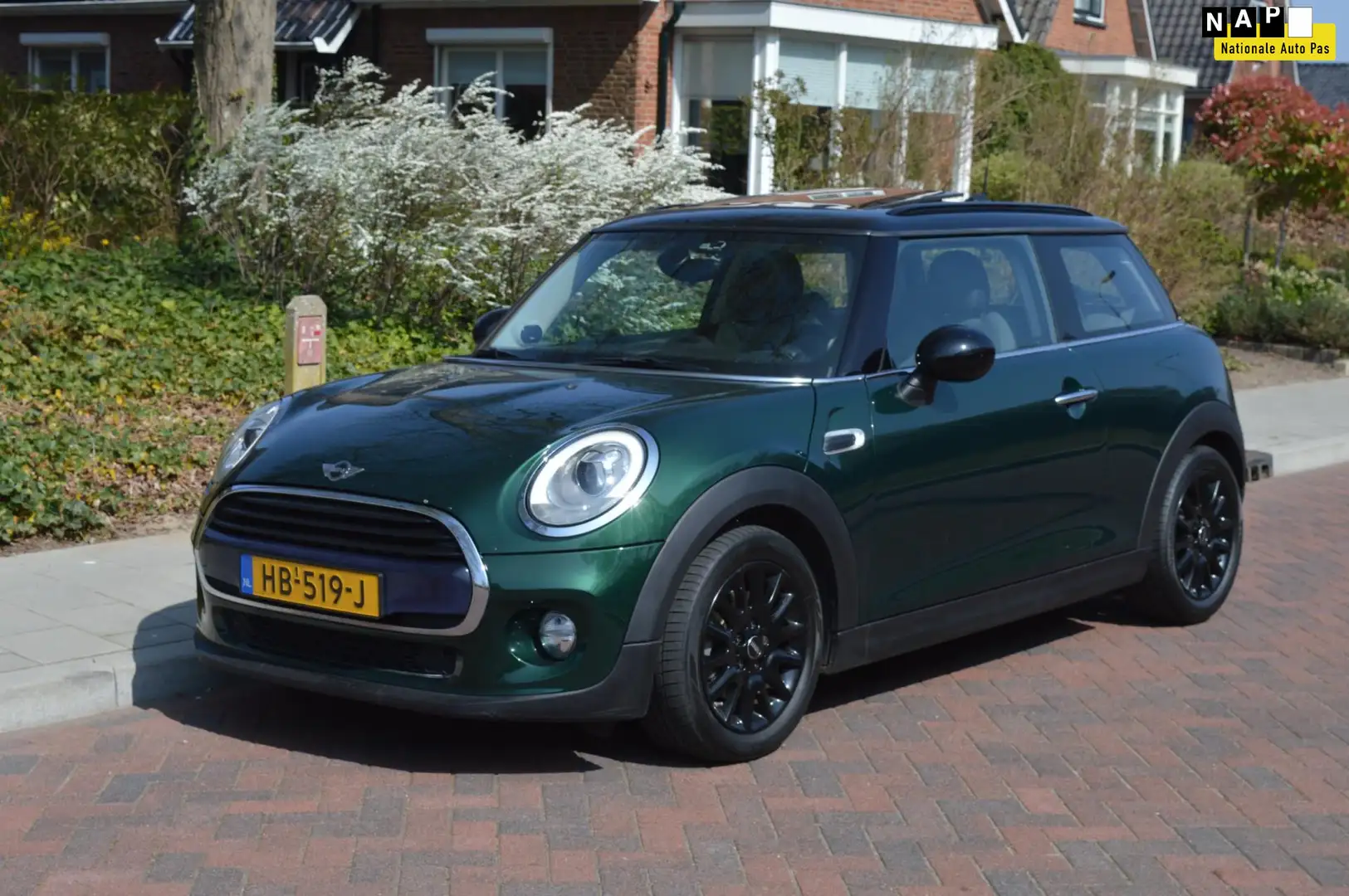 MINI Cooper D Mini 1.5 1ste eig/Org NL/NAP/Panorama Zöld - 1