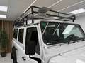 Land Rover Defender 110 SW E Bianco - thumbnail 8