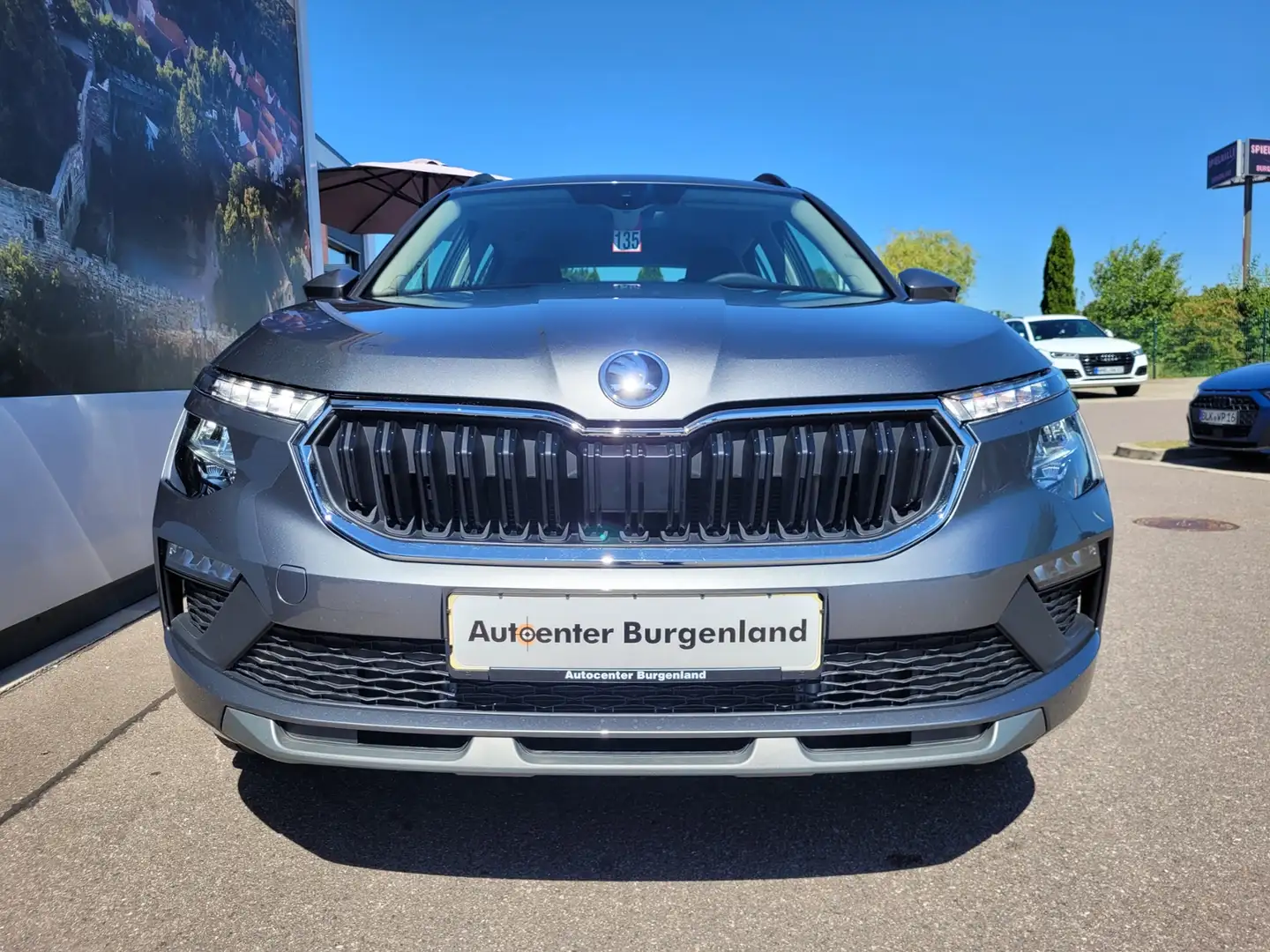 Skoda Kamiq 1.0 TSI Selection Grau - 2