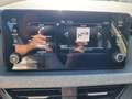 Skoda Kamiq 1.0 TSI Selection Grau - thumbnail 15