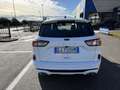 Ford Kuga St-Line 1.5 EcoBlue 120CV Automatica S&S Blanc - thumbnail 5