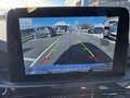 Ford Kuga St-Line 1.5 EcoBlue 120CV Automatica S&S Blanc - thumbnail 14