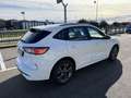 Ford Kuga St-Line 1.5 EcoBlue 120CV Automatica S&S Blanc - thumbnail 3