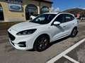 Ford Kuga St-Line 1.5 EcoBlue 120CV Automatica S&S Blanc - thumbnail 1