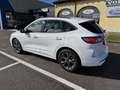 Ford Kuga St-Line 1.5 EcoBlue 120CV Automatica S&S Blanc - thumbnail 4