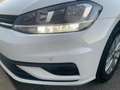 Volkswagen Golf Golf 1.6TDI Last Edition 85kW Last Edition Blanco - thumbnail 8