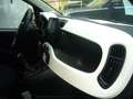 Fiat Panda Cross Pandina 1.0 FireFly Hybrid 5P Nuovo Modell Bianco - thumbnail 27