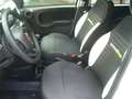 Fiat Panda Cross Pandina 1.0 FireFly Hybrid 5P Nuovo Modell Bianco - thumbnail 18