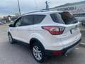 Ford Kuga 2.0 TDCI 120 CV S&S 2WD Powershift Stealth Blanco - thumbnail 5