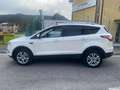 Ford Kuga 2.0 TDCI 120 CV S&S 2WD Powershift Stealth Blanco - thumbnail 4