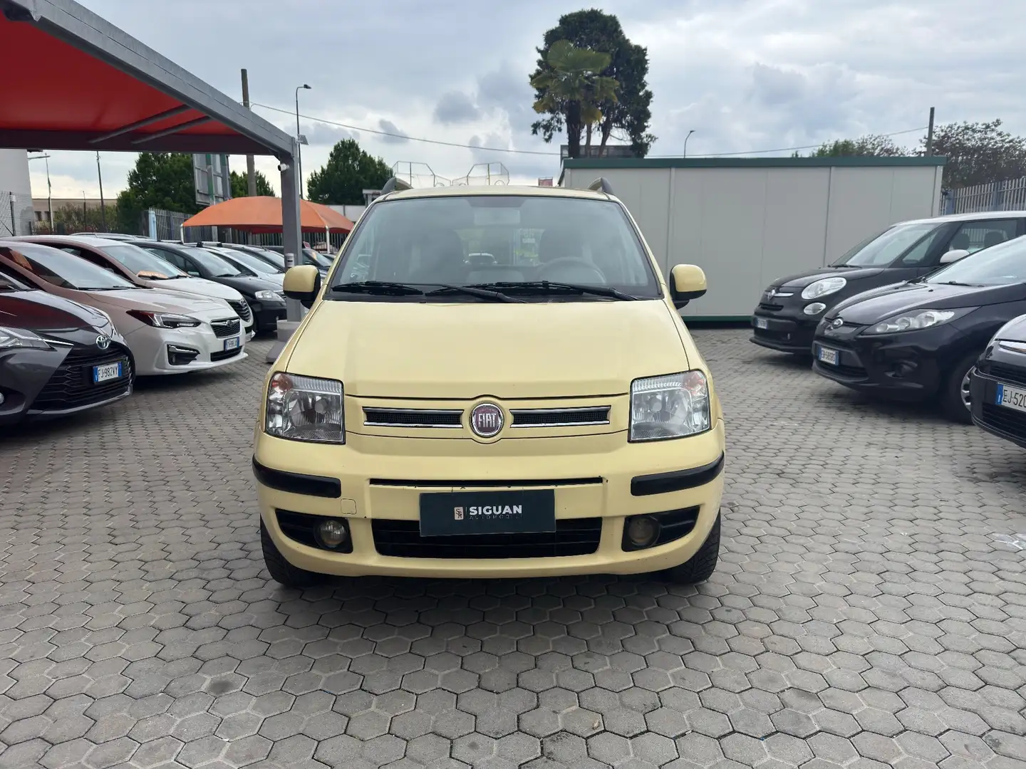 Fiat Panda ADATTA A NEOPATENTATI 1.2 Dynamic Natural Power Ma Jaune - 2