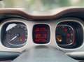 Fiat Panda Panda Cross 1.3 mjt 16v 4x4 80cv -GANCIO DI TRAINO Rojo - thumbnail 10