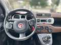 Fiat Panda Panda Cross 1.3 mjt 16v 4x4 80cv -GANCIO DI TRAINO Rojo - thumbnail 8