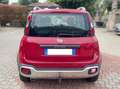 Fiat Panda Panda Cross 1.3 mjt 16v 4x4 80cv -GANCIO DI TRAINO Rojo - thumbnail 4