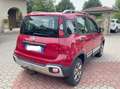 Fiat Panda Panda Cross 1.3 mjt 16v 4x4 80cv -GANCIO DI TRAINO Rojo - thumbnail 3