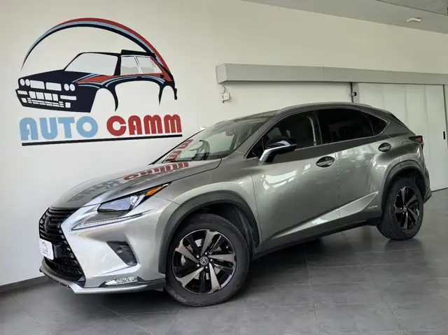 Lexus NX 300 300h 2.5 Premium cvt 4wd  4x4 awd