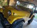 Jeep CJ-5 Gelb - thumbnail 5