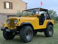Jeep CJ-5 Gelb - thumbnail 8